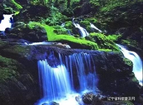 迷雾求生